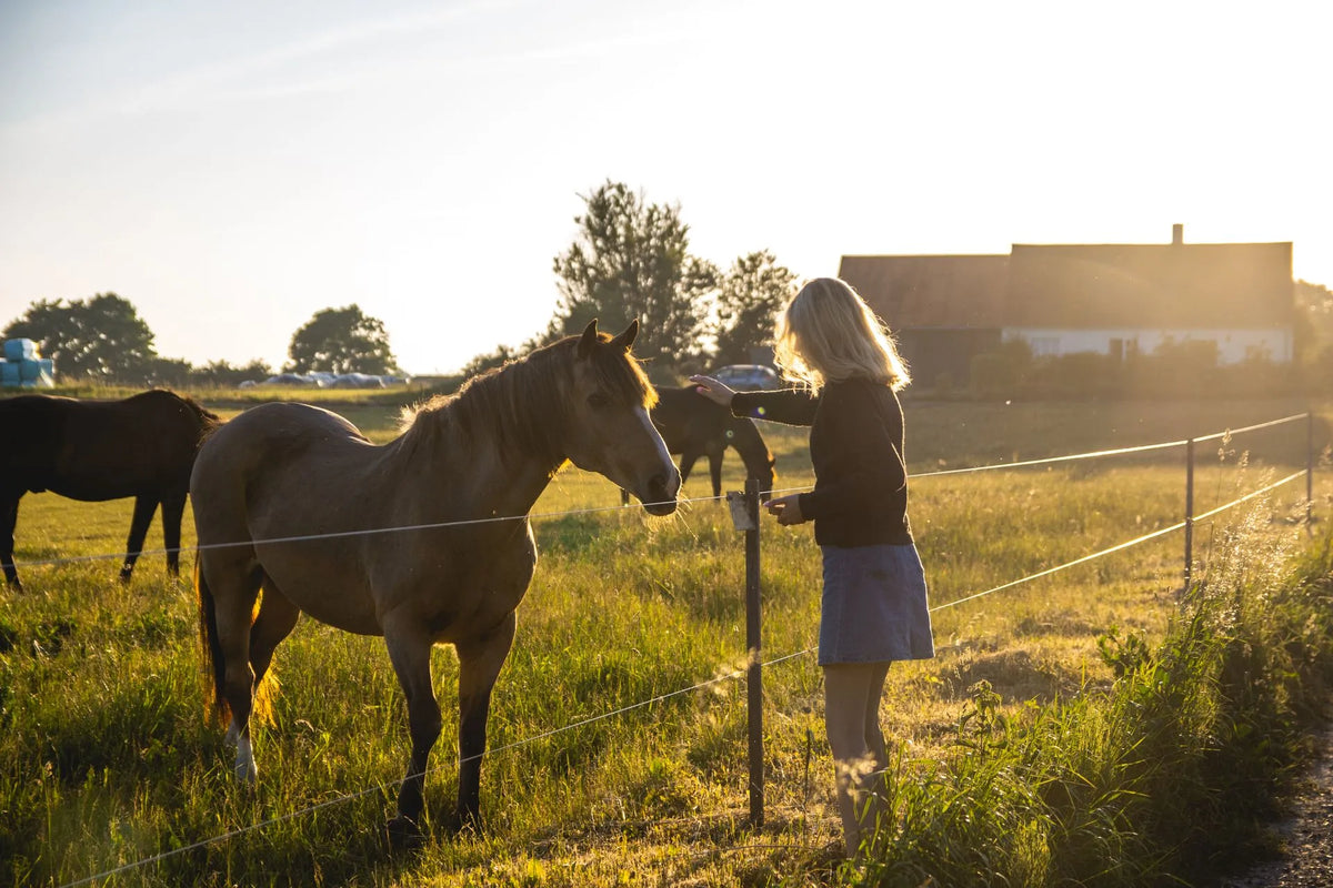 zenuwpijn paard