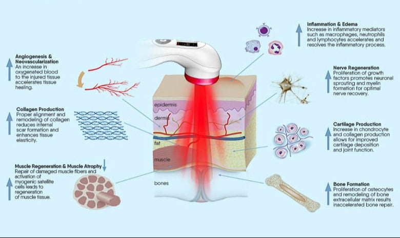 hoe rood licht therapie werkt